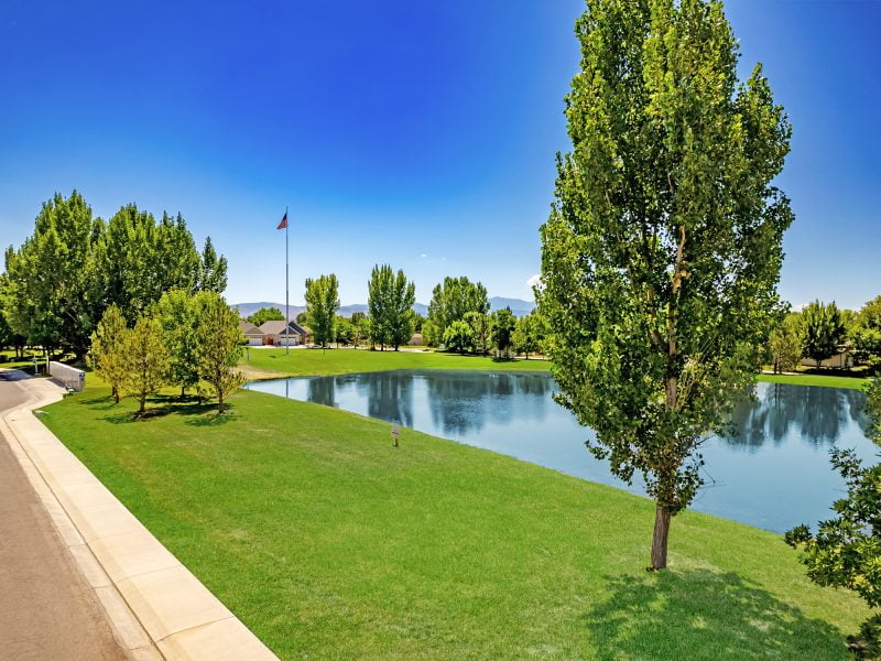 Park and pond within Bear Creek subd